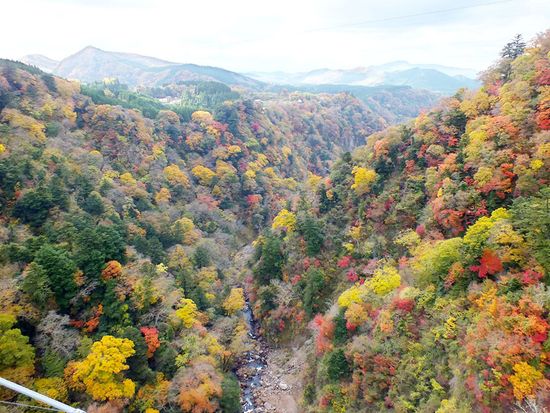 九重夢大吊橋(1)