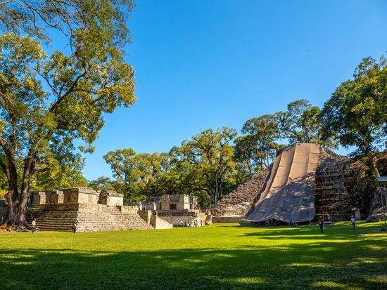 AdobeStock_314347639