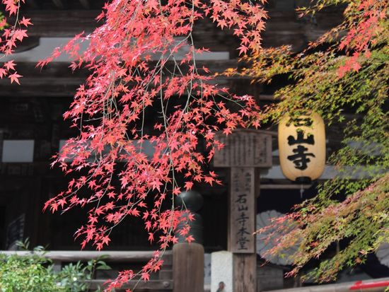 石山寺（施設から）