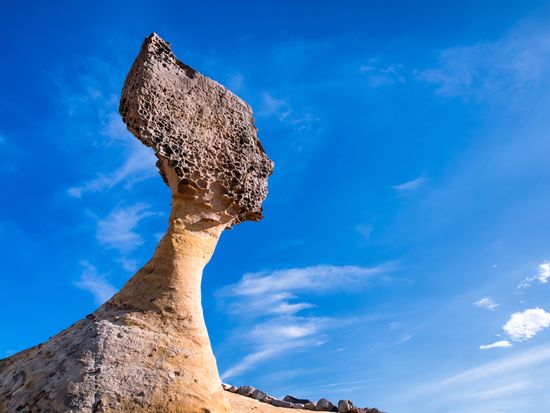 shutterstock_697745167