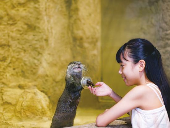 DMMかりゆし水族館チケット 新しいカタチのエンターテイメント水族館 お得にラクラク観光を楽しもう♪＜指定日から60日間引換OK／豊見城市＞