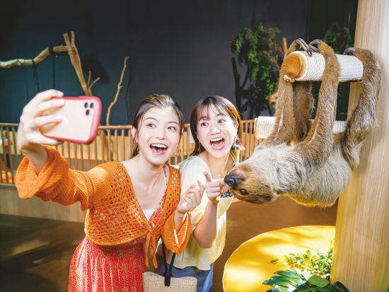 DMMかりゆし水族館チケット 新しいカタチのエンターテイメント水族館 お得にラクラク観光を楽しもう♪＜指定日から60日間引換OK／豊見城市＞