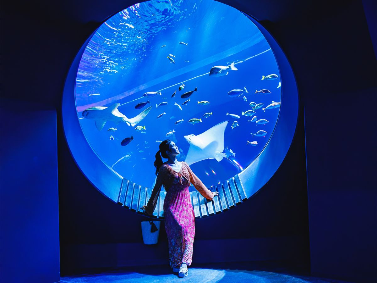 DMMかりゆし水族館チケット 新しいカタチのエンターテイメント水族館