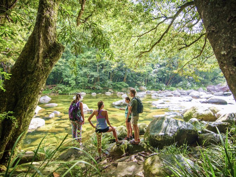 Daintree NP (2)