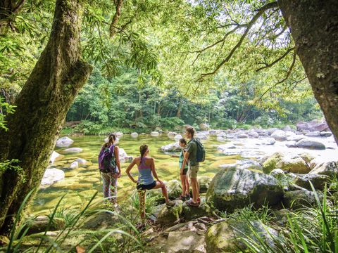 Daintree NP (2)