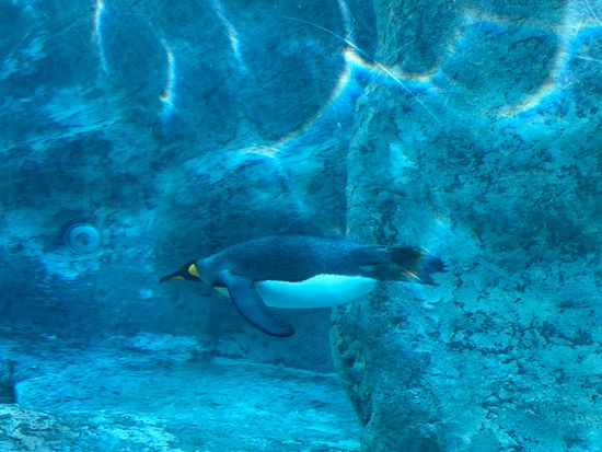 BW3T2_740207f1-2b4f-4cfb-ba17-0ea474d033b9