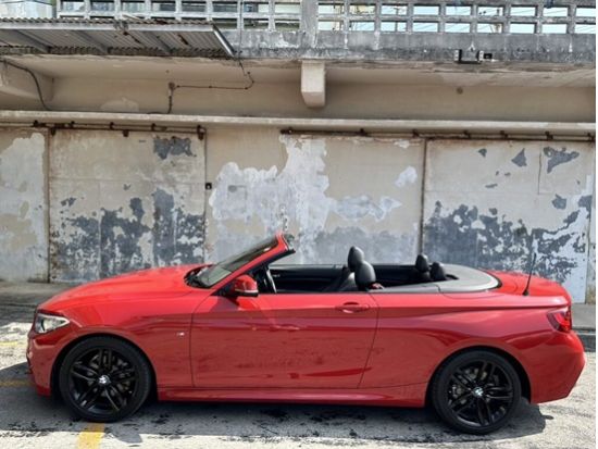 石垣島レンタカー BMWで石垣の旅をより一層特別な旅に◎おしゃれな車で島内巡りを堪能＜送迎あり／1日～／石垣島＞