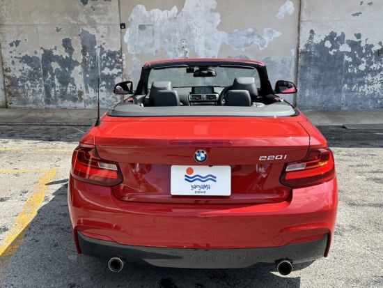 石垣島レンタカー BMWで石垣の旅をより一層特別な旅に◎おしゃれな車で島内巡りを堪能＜送迎あり／1日～／石垣島＞