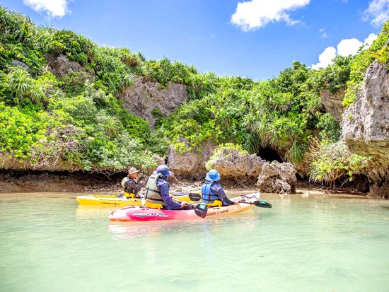 20240221052235_277313179_16831_0