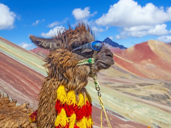 レインボーマウンテン＋レッドバレー日帰りトレッキングツアー＜混載／英語ガイド／朝食＆昼食付／クスコ発＞