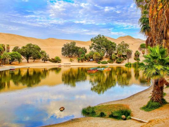 パラカス国立公園＋ワカチナオアシス1日ツアー！バジェスタス諸島クルーズ or ATV選べるアクティビティー＜混載／英語ガイド／ 入場料込／リマ発＞ 