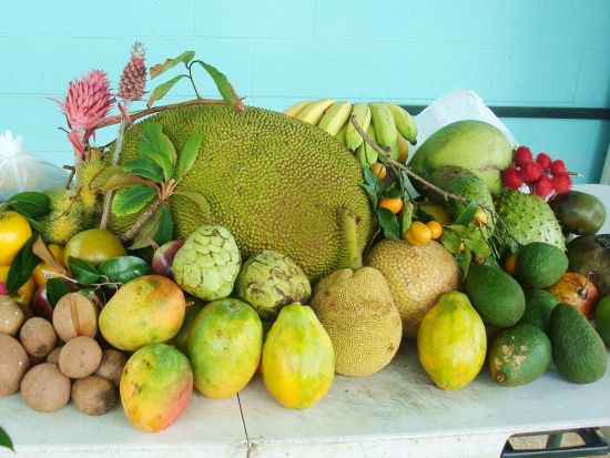 オアフ島東海岸観光ツアー　フランキーズ・ナーサリー農園散策＆フルーツ試食とマカプウ岬やハロナ潮吹き穴など東海岸の絶景鑑賞！