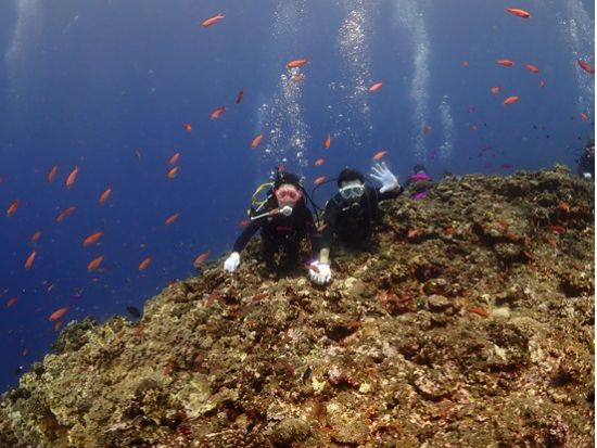 体験ダイビング 宮古島の神秘的な海中世界を探検！大型ダイビングボートで広々快適！初心者大歓迎！＜1～2ダイブ／水中写真プレゼント／半日から１日／宮古島＞