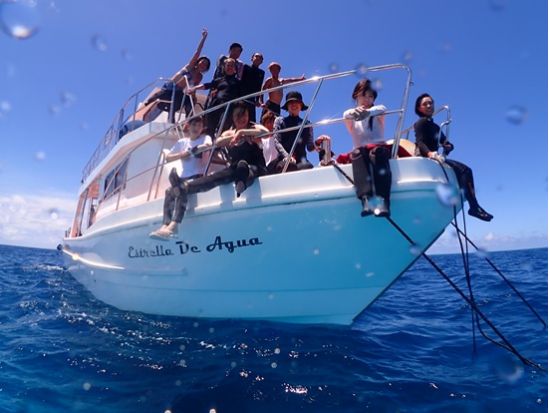 ファンダイビング 迫力ある地形と透き通った宮古ブルーの海を体感 初心者の方も大歓迎＜2ダイブ／水中写真プレゼント／半日／宮古島＞