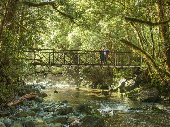 MT_camp oven creek (1)