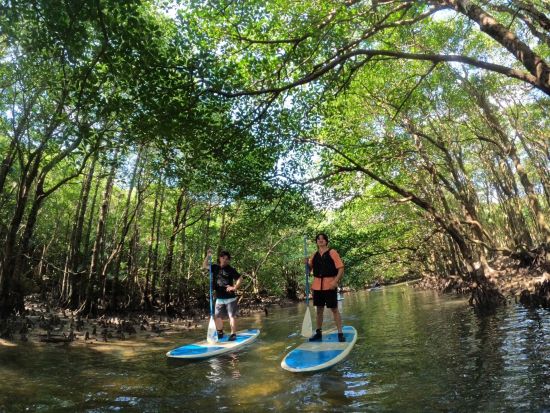 半日キャニオニングツアー　西表島の大自然を楽しもう！選べるマングローブSUPorカヌーまたは由布島観光付き1日プランも！＜上原地区送迎無料／写真無料／西表島＞