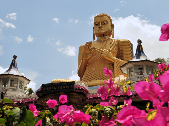 世界遺産ダンブッラ石窟寺院とピドゥランガラロック日帰りツアー　スリランカの幻想的な景色を満喫 ＜昼食付き／日本語ガイド＞