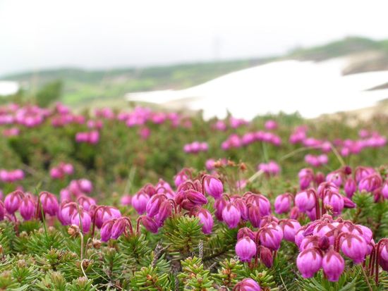 3VIIN_c72c4cad-c7a8-4b84-899c-3e0feddf06f4