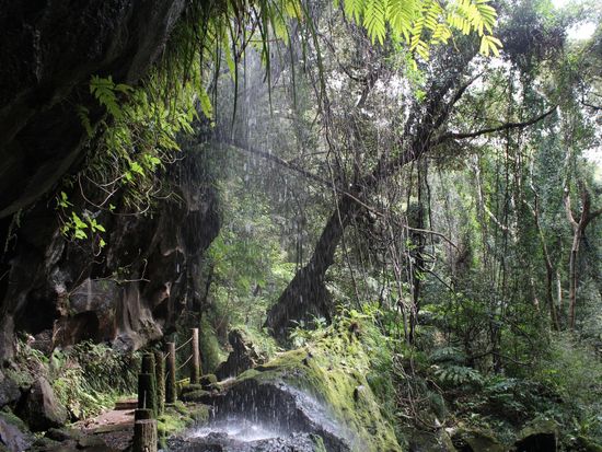 裏見ヶ滝pixta_35574460_M