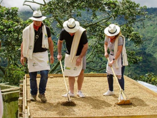 コーヒー農園ツアー　植え付けから焙煎まで生産工程全体を体験＜貸切／英語ガイド／メデジン発＞