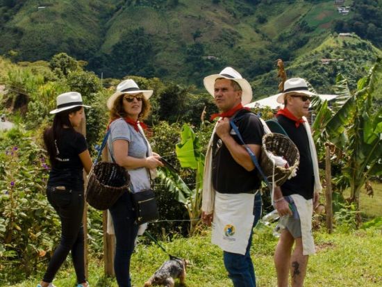 コーヒー農園ツアー　植え付けから焙煎まで生産工程全体を体験＜貸切／英語ガイド／メデジン発＞