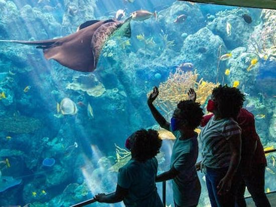 main-attraction-image