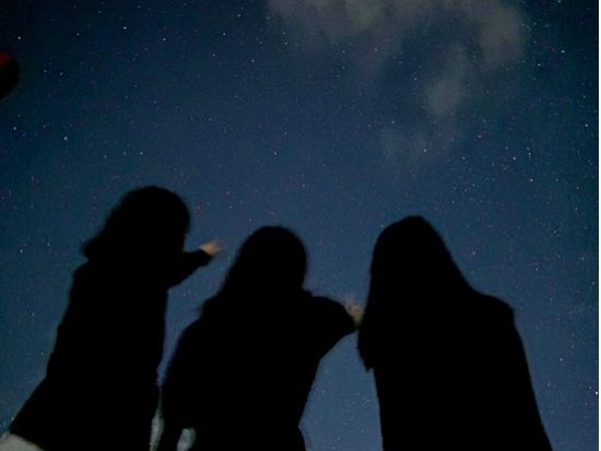 ナイトツアー ジャングル探検＋星空観賞で宮古島の夜を満喫★ツアー中のお写真プレゼント＜約1～2時間／宮古島＞