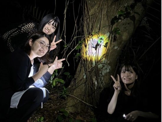 ナイトツアー ジャングル探検＋星空観賞で宮古島の夜を満喫★ツアー中のお写真プレゼント＜約1～2時間／宮古島＞