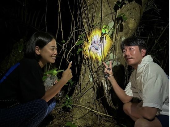 ナイトツアー ジャングル探検＋星空観賞で宮古島の夜を満喫★ツアー中のお写真プレゼント＜約1～2時間／宮古島＞