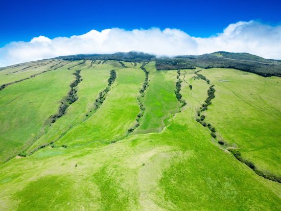 ヘリコプター遊覧　4つの火山とコハラコーストの滝を巡る ＜フライト90分／英語パイロット＞