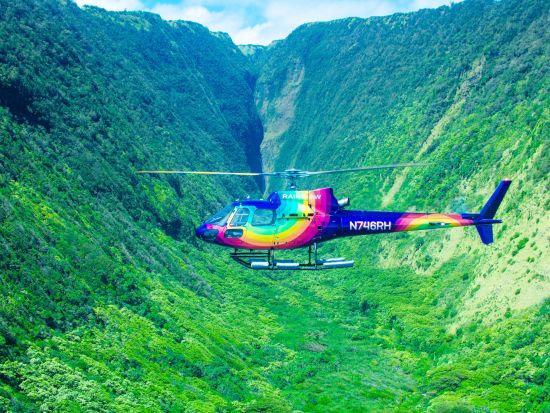 ヘリコプター遊覧　4つの火山とコハラコーストの滝を巡る ＜フライト90分／英語パイロット＞