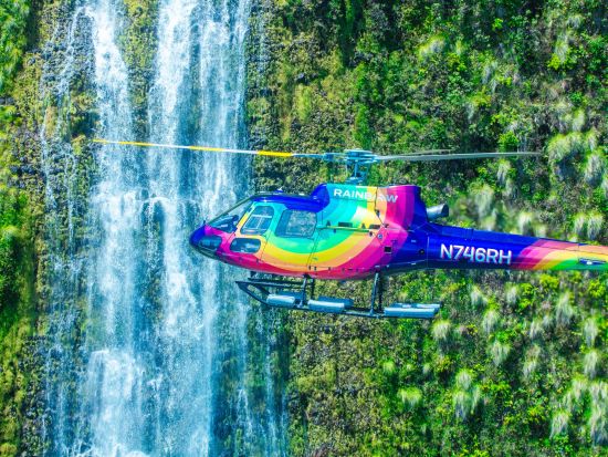 ヘリコプター遊覧　4つの火山とコハラコーストの滝を巡る ＜フライト90分／英語パイロット＞