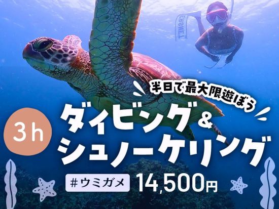 体験ダイビング＆シュノーケリング 初心者でも安心！半日で石垣島の海を大満喫できる贅沢プラン SNS映え間違いなしの写真データプレゼント！＜送迎付／石垣島＞