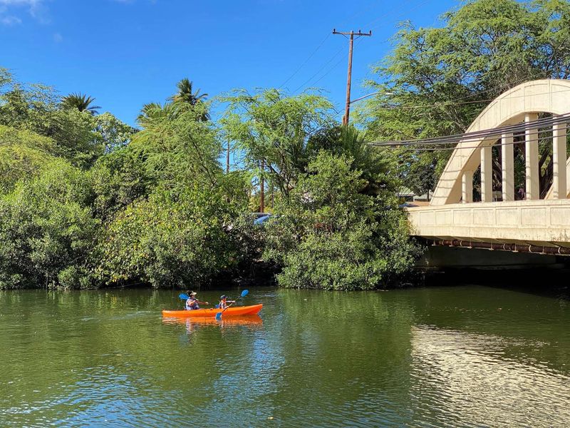 the-surf-bus-gallery13-1