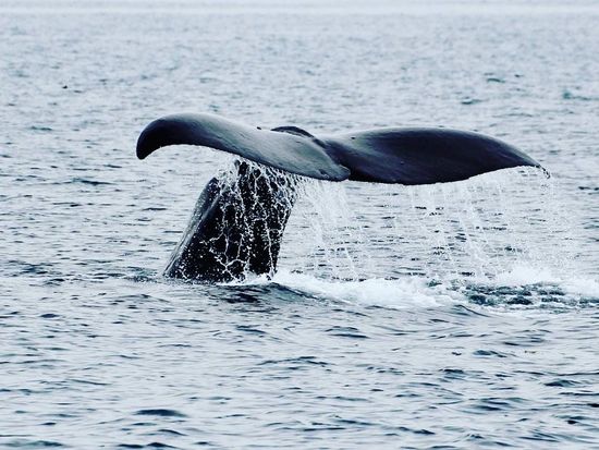 450BBD0F-0EE0-4607-AB40-53F8008F34C2