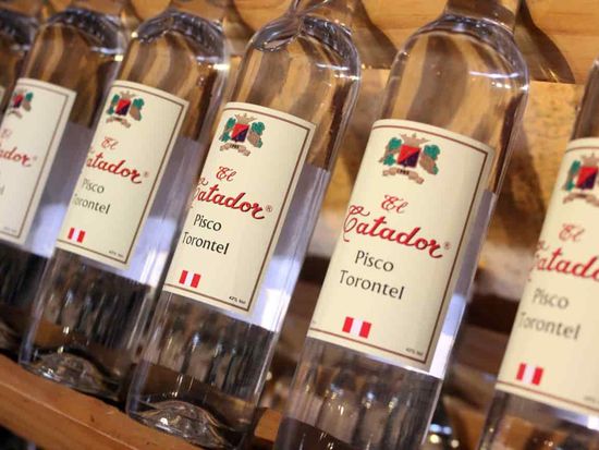 Pisco Ica Paracas Winery tacama ruta del pisco bodega (7)
