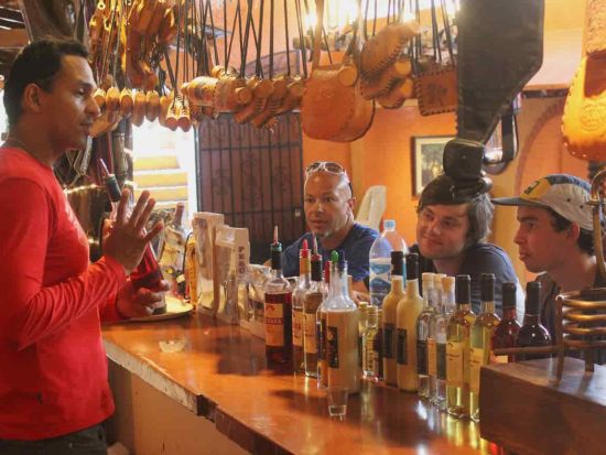 ワイナリー3ヵ所めぐり＋ピスコ＆ワインテイスティング半日ツアー＜混載／午前または午後／英語ガイド／イカ発＞