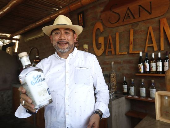 ワイナリー3ヵ所めぐり＋ピスコ＆ワインテイスティング半日ツアー＜混載／午前または午後／英語ガイド／イカ発＞