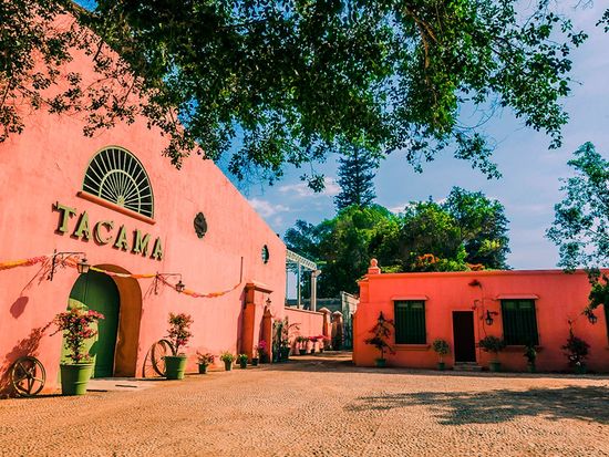 Pisco Ica Paracas Winery tacama ruta del pisco bodega (3)