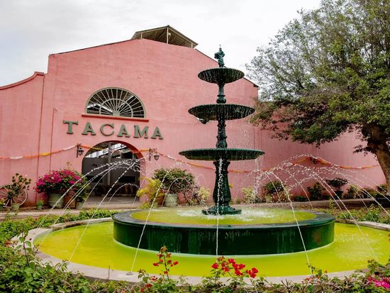 Pisco Ica Paracas Winery tacama ruta del pisco bodega (4)