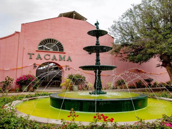 ワイナリー3ヵ所めぐり＋ピスコ＆ワインテイスティング半日ツアー＜混載／午前または午後／英語ガイド／イカ発＞