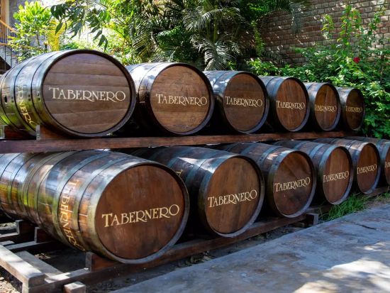 ワイナリー3ヵ所めぐり＋ピスコ＆ワインテイスティング半日ツアー＜混載／午前または午後／英語ガイド／イカ発＞