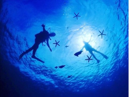 【サンゴ礁・体験ダイビング】完全貸切でサンゴ礁と熱帯魚の餌付け満喫！GoPro写真＆動画無料！地元沖縄人ガイド！口コミ＆写真満足度高評価！＜北谷町＞