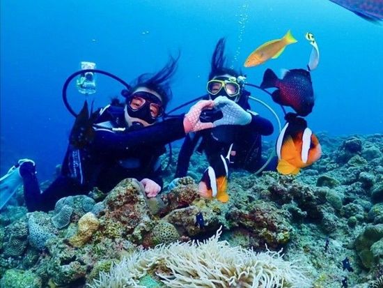 サンゴ礁・体験ダイビング】完全貸切でサンゴ礁と熱帯魚の餌付け満喫