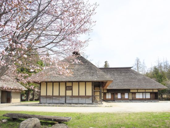 遠野ふるさと村　家族でできる！こけし絵付け体験+ふるさと村入村料付　江戸時代に建てられた民家(～10月まで)又は曲り家(11月～3月）で体験！＜通年＞