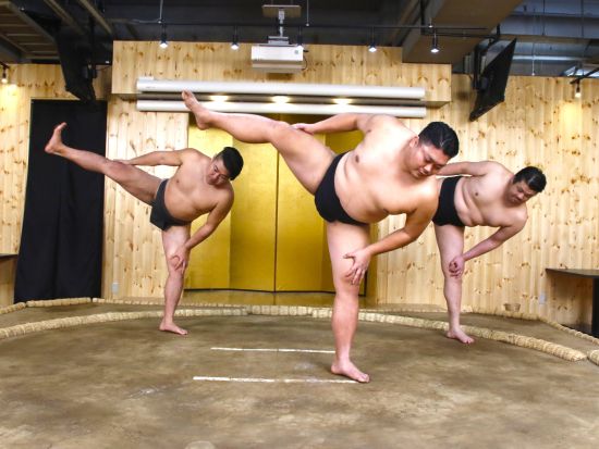 東京：特製ちゃんこ鍋と写真付き相撲ショー体験 日本文化のユニークな側面を楽しむコース＜1名様から催行可能／台東区＞