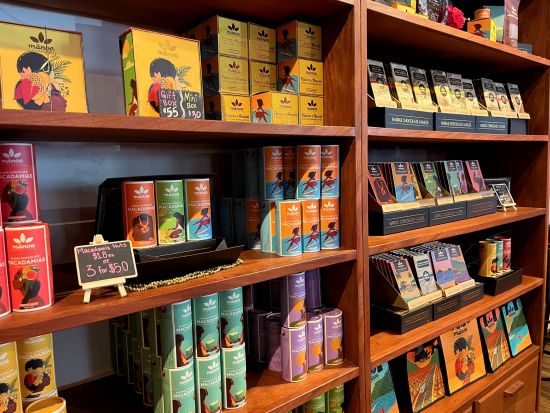 カイルア観光送迎シャトルサービス　カイルアタウンでたっぷり4時間の自由行動　待たなくてOK！自転車レンタル付きプランあり