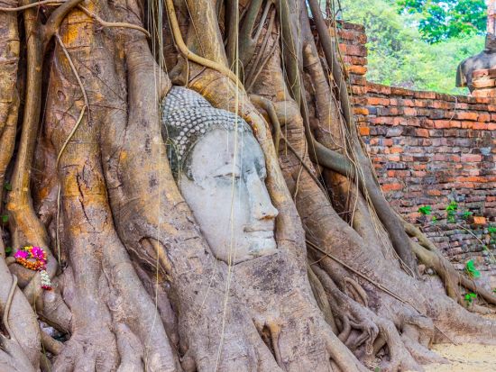 【貸切】アユタヤ遺跡＋象乗り半日観光ツアー　3大遺跡巡り＜選べる午前・午後／日本語ガイド／往復送迎＞