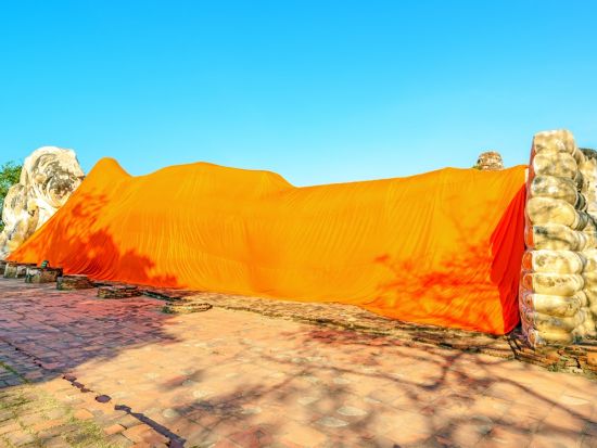 【貸切】アユタヤ遺跡＋象乗り半日観光ツアー　3大遺跡巡り＜選べる午前・午後／日本語ガイド／往復送迎＞