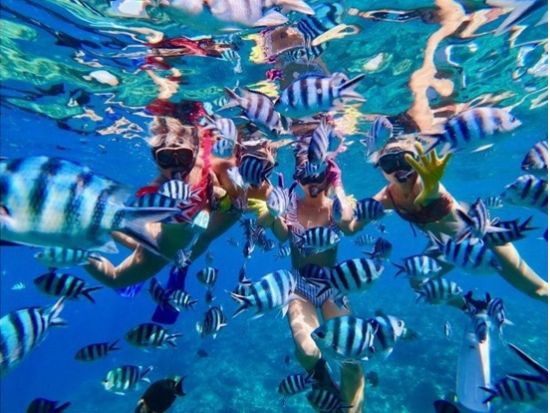 【ジンベエザメ・シュノーケル】グループ割あり！世界最大の魚類ジンベエザメと泳ごう！100％の感動と200％の興奮！GoPro写真＆動画無料！＜読谷村・恩納村＞